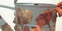 лейка лейка