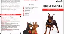 CorelDRAW, CorelTUTORIALS CorelDRAW Graphics Suite