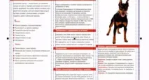 CorelDRAW, CorelTUTORIALS Graphics