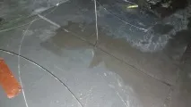 зіркову