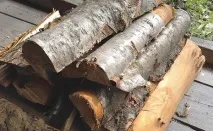 домакинските задължения