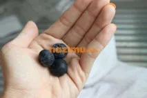 боровинки снимка