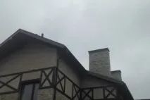 Алексей Ирина вили