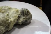 якутия якутия