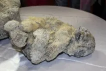 праисторическите якутия