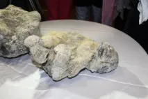 праисторическите пещерни