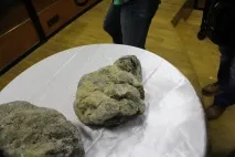 пещерни намерени
