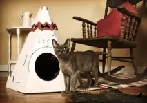 Будиночок для кота своїми руками кота