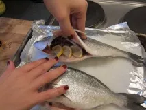 дорада