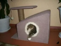 Будиночок для кота своїми руками своїми