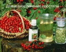 Домашнє лікування простатиту за допомогою лікарських рослин простатиту