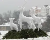 декорация