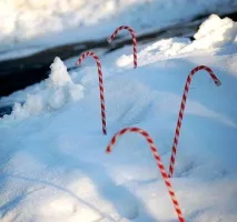 дворове