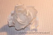 гардения flowers