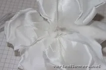 гардения направи