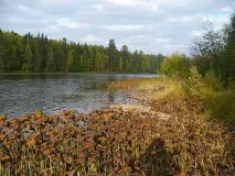 риболов река