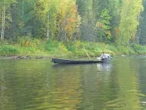 велс велс