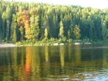 велс риболов