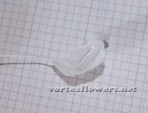 гардения vortex