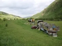 властивості