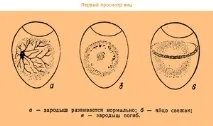 използват могат