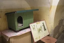 защитени музеи
