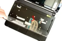 acer acer