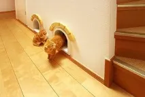 истории останалата част
