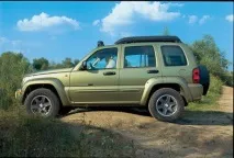 популярна
