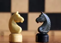 Які країни вважають дружніми та недружніми білоруси, Щоденник білоруси