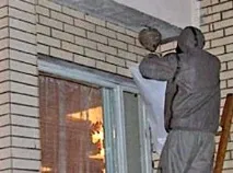 Як безпечно і швидко позбутися осиних гнізд осиних