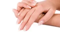кутикула