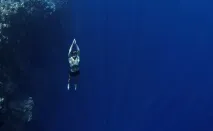 дишаме слухове