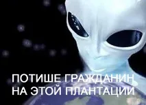 Як привчити дитину вередувати в магазині привчити