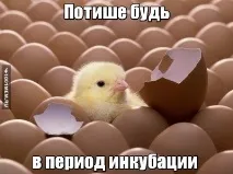 Як привчити дитину вередувати в магазині привчити