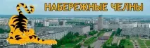 Як підрахувати у кішки пульс та частоту дихання частоту