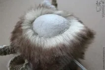 звірину