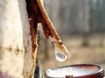 березовий
