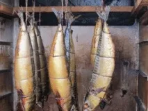 направите направите