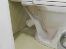 тоалетна подходящата