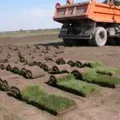 юрським