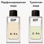 Парфумерна та туалетна вода - у чому різниця різниця