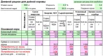 Про XP та nXP енергії