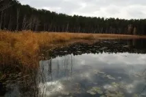 боровушка езеро