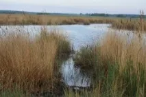 Актобе Челябинска езерото