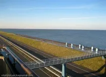 Южно море отзиви
