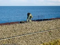 Северно море туристи