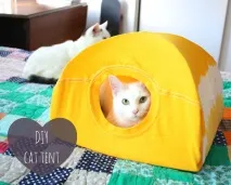 котешка котешка