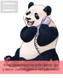 първи първи