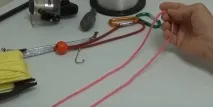 осмица собствените